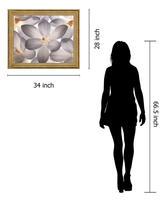 Whispering Blossom - 28" x 34" Framed Wall Art