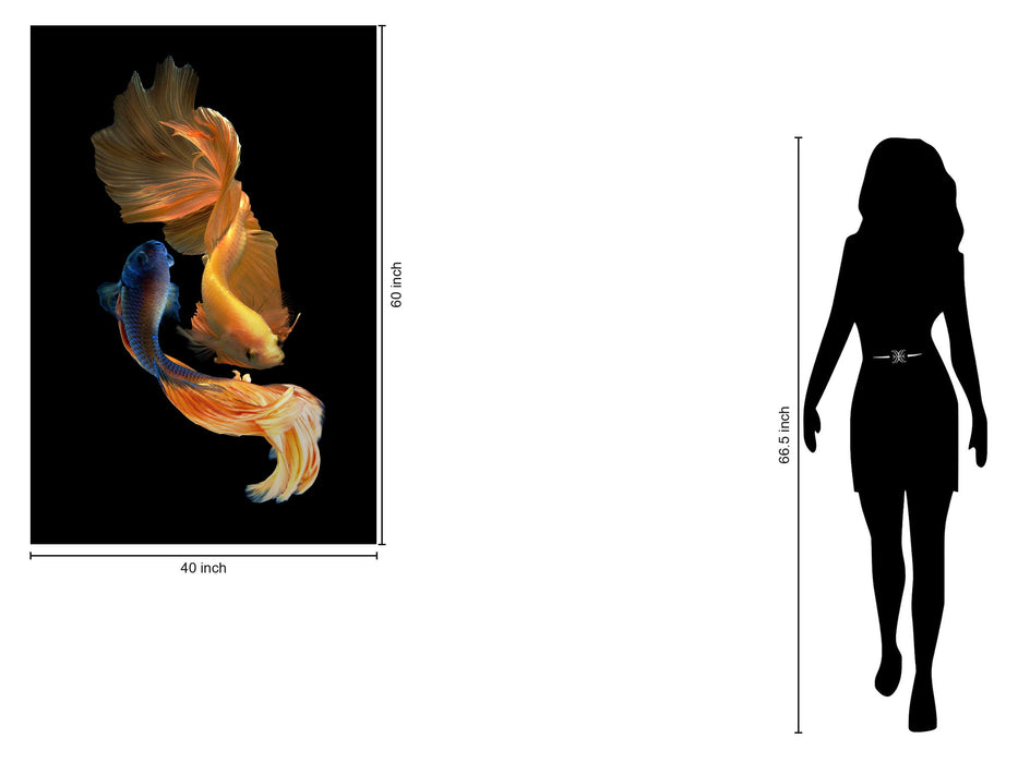 Tempered Glass With Foil - Ying Yang Fish - Black