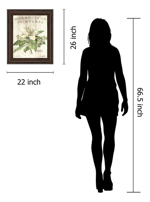 Magnolia De Printemps By Sue Schlabach - Framed Print Wall Art - White