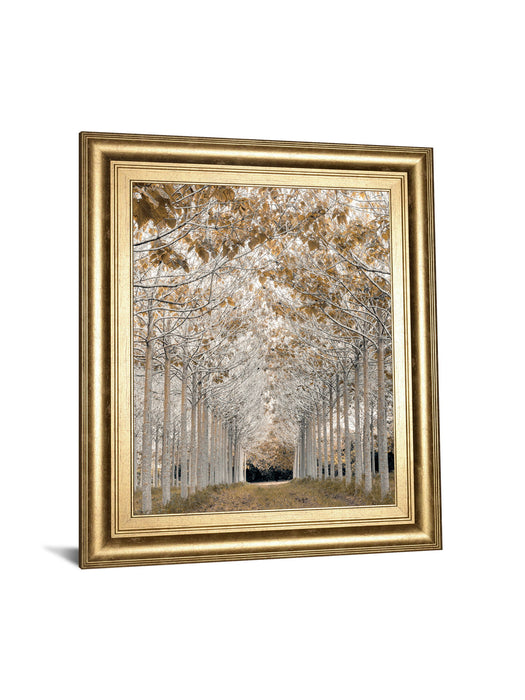 White Gold By Assaf Frank - Framed Print Wall Art - Gold
