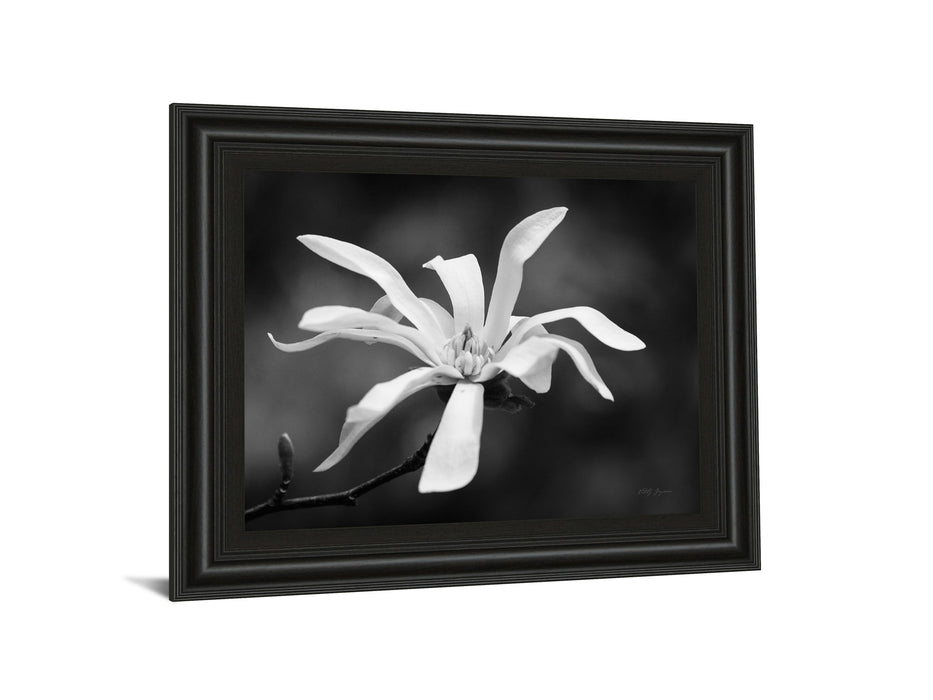 Magnolia Dreams I By Geyman Vitaly - Framed Print Wall Art - Dark Gray