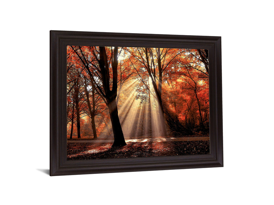 Radiant Maple Glow - 28" x 34" Framed Wall Art