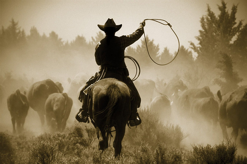 Rope And Ride By Danita Delimont - Light Brown