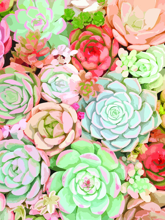 Framed - Succulent By Tamara Robinson - Pink