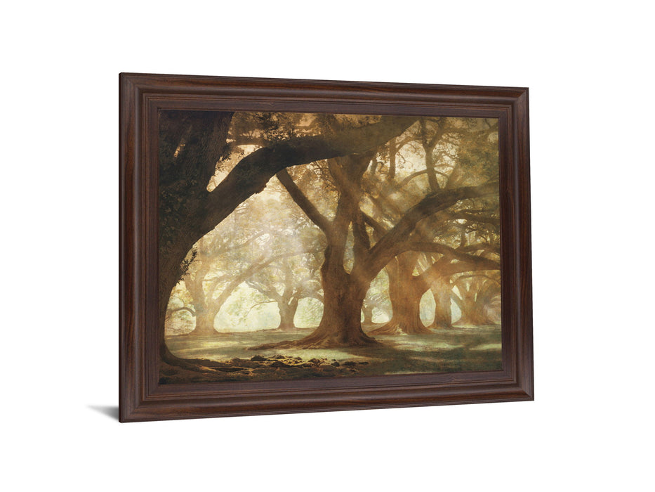 Sunlit Grove Serenity - 28" x 34" Framed Wall Art