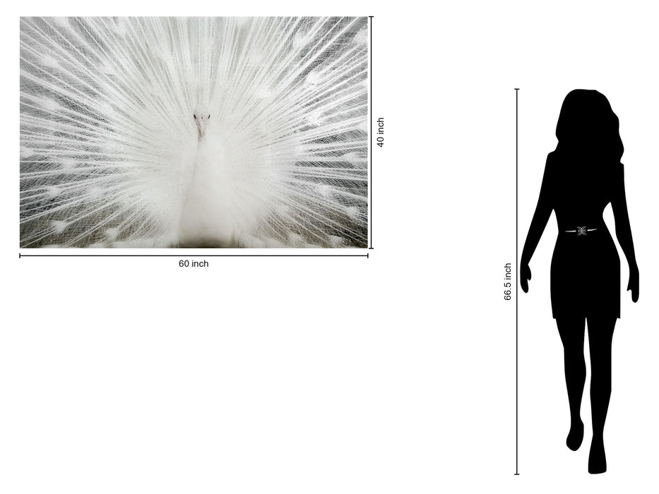 Tempered Glass With Foil & Rhinestones - White Peacock - White