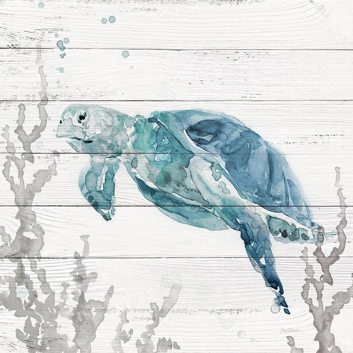 Aqua Turtle II By Carol Robinson (Framed) (Small) - Beige