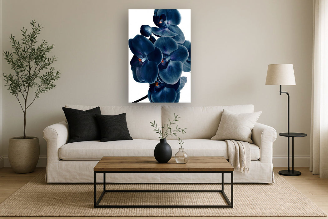 Temp Glass With Foil - Blue Orchid - Blue