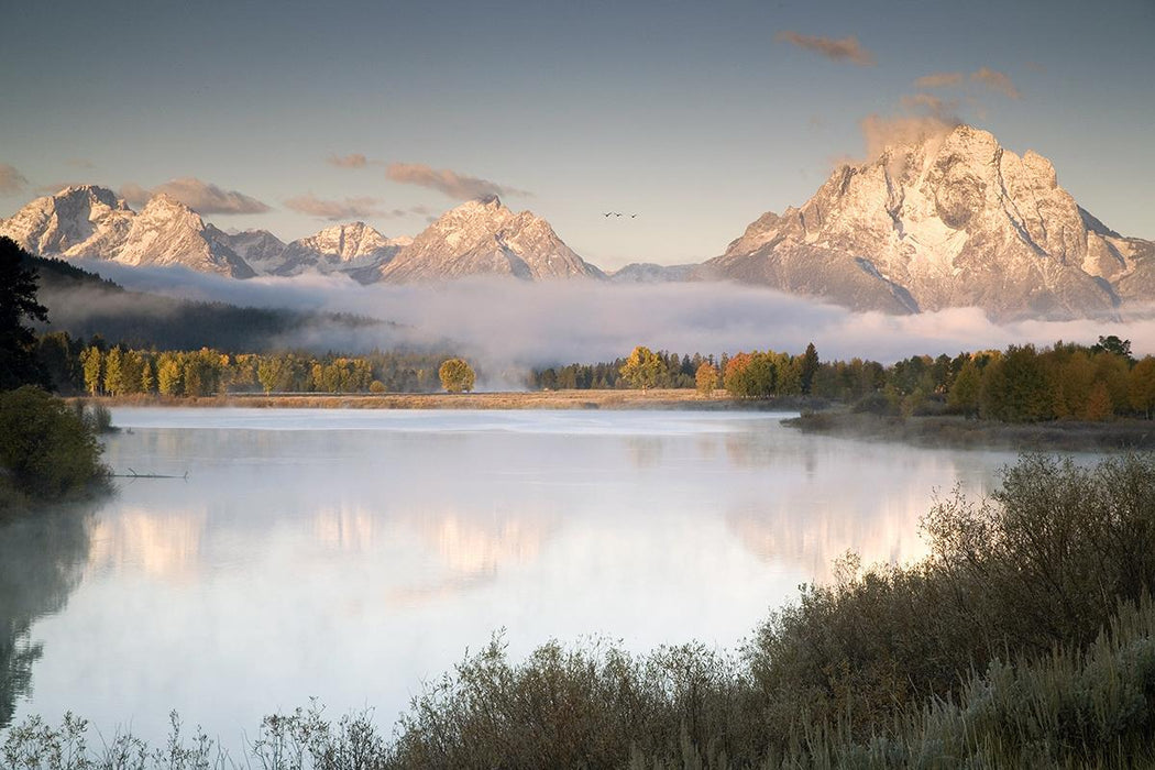 Snake River Fog By Danita Delimont - Gray