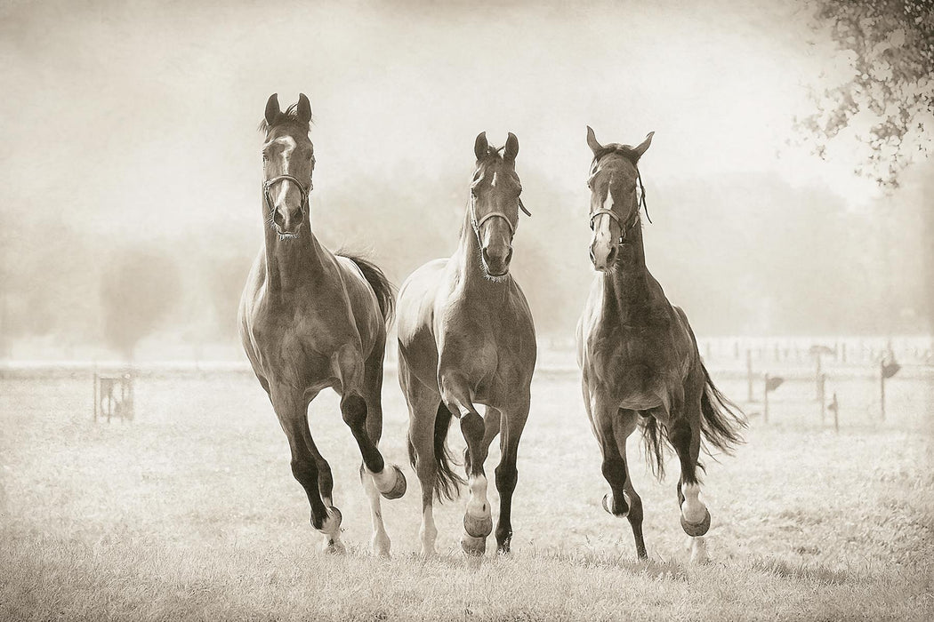 The Young Ones By Lars Van De Goor - Beige