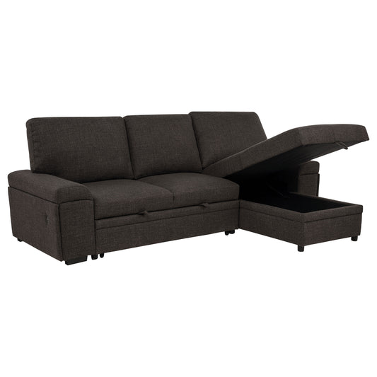 Demko Sleeper Sectional Sofa with Speaker and Storage Chaise Brown